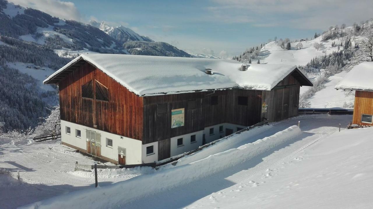 Apartamento Bio Bauernhof Oberbenk Wagrain Exterior foto